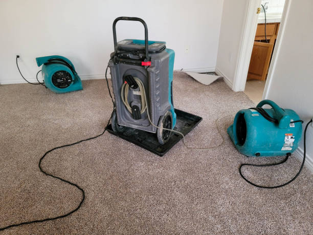 Best 24-hour water damage restoration  in Frankston, TX