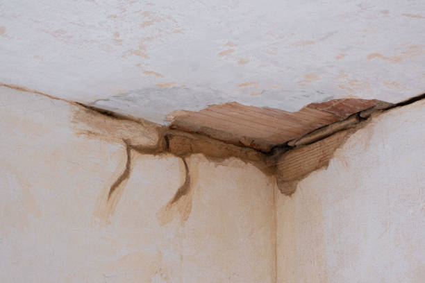 Best Water damage restoration near me  in Frankston, TX