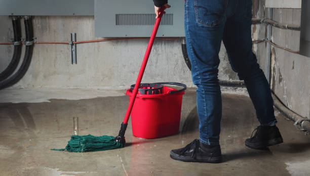 Best Residential water damage restoration  in Frankston, TX