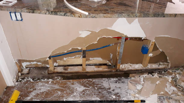Best Water damage cleanup near me  in Frankston, TX