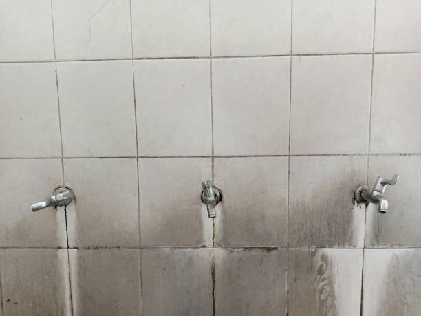 Best Local water damage restoration  in Frankston, TX