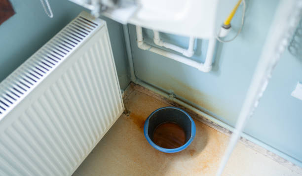 Best Sewage cleanup and water damage restoration  in Frankston, TX